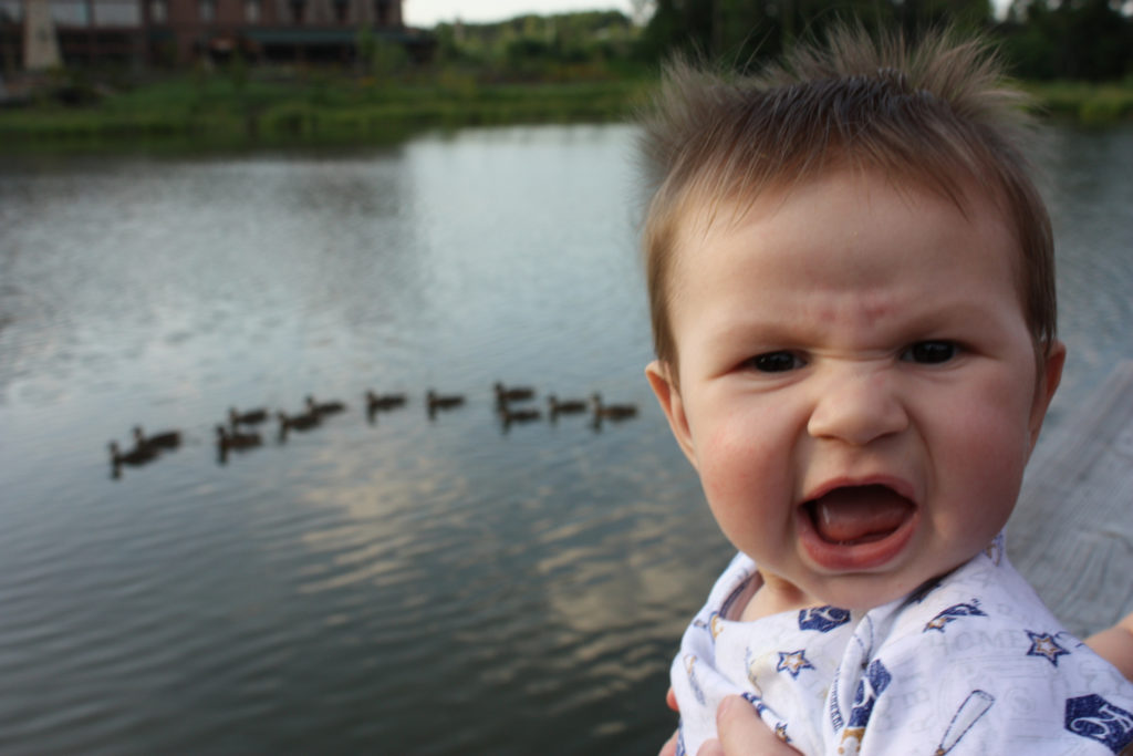 "Silly baby". Photo credit Aaron Brinker @ Flickr. Thank you, Aaron, for sharing. 